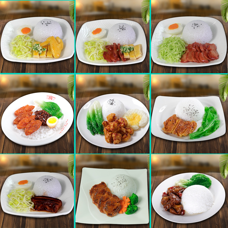 包邮仿真快餐模型粤式牛腩叉烧白切炸鸡盖饭店摆放道具餐饮假样品