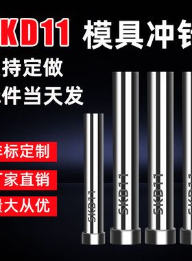模具冲针SKD11冲头 SKH51冲针T冲A冲 不锈钢加硬冲孔冲针凸模衬套