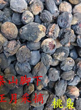 东南枝树上摘果真正的桃枭原皮恋枝桃桃奴野生桃枭毛桃正宗毛桃核