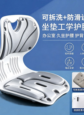 护腰坐垫人体工学靠背腰靠垫成人腰部支撑办公室上班久坐座椅神器