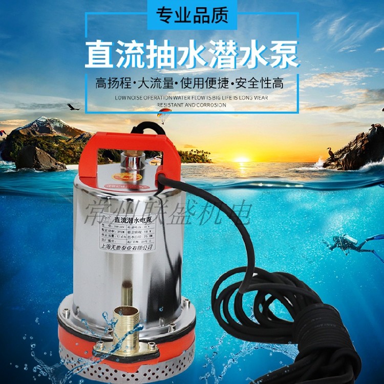 电瓶直流泵 1寸口 潜水泵 抽水泵水老鼠 排灌清水泵12/24/48/60V