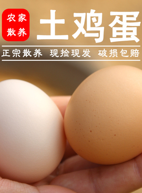 湖北孝感大悟土特产正宗农家林下散养土鸡蛋五谷杂粮喂养新鲜现捡