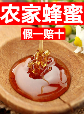 湖北孝感大悟土特产大别山农家自养土蜂蜜天然无添加中蜂蜜