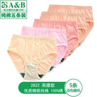 5 светлых смешанных цветов (2822 чесаный хлопок с завышенной талией)