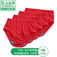 4 красных (F282 чесаный хлопок больших размеров с завышенной талией)