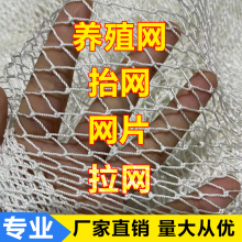 定做尼龙网渔网箱养殖网不伤鱼苗拉网拖网清塘鱼网抬网隔网搬网眼