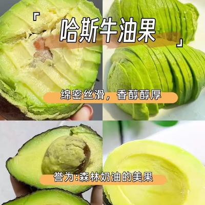 新鲜哈斯牛油果细腻绵密顺滑香