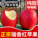 瑞香红苹果纯甜脆甜高端苹果丑应季 包邮 当季 新鲜水果孕妇整箱顺丰