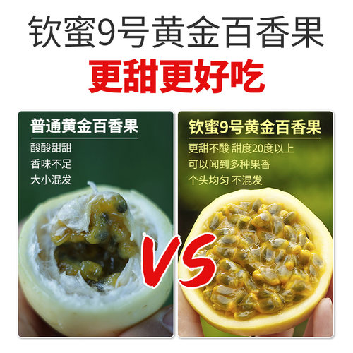 钦蜜九号9号黄金百香果广西新鲜孕妇应当季水果整箱蜂蜜百香果甜