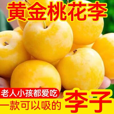 李子界的贵族柔弹清甜爆汁