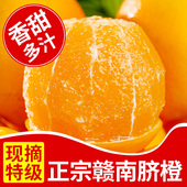正宗江西赣南脐橙子精品果饱满多汁现摘现发当季 新鲜水果孕妇儿童