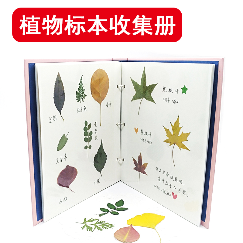 覆膜粘贴式植物标本粉色diy相册