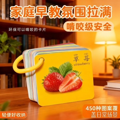 婴幼儿启蒙认知卡片玩具