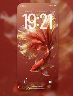 6张好运锦鲤好运壁纸手机高清屏保鎏金生财2026国潮年年有余