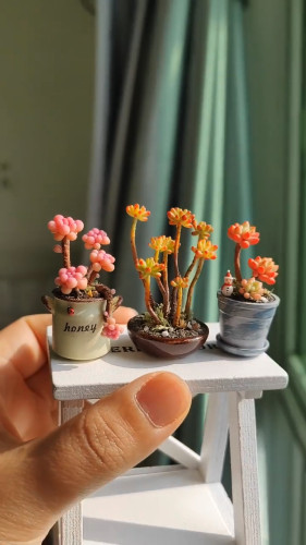 桃蛋懒人养的花名贵精品肉肉迷你小盆栽新手好养老桩多肉植物花卉