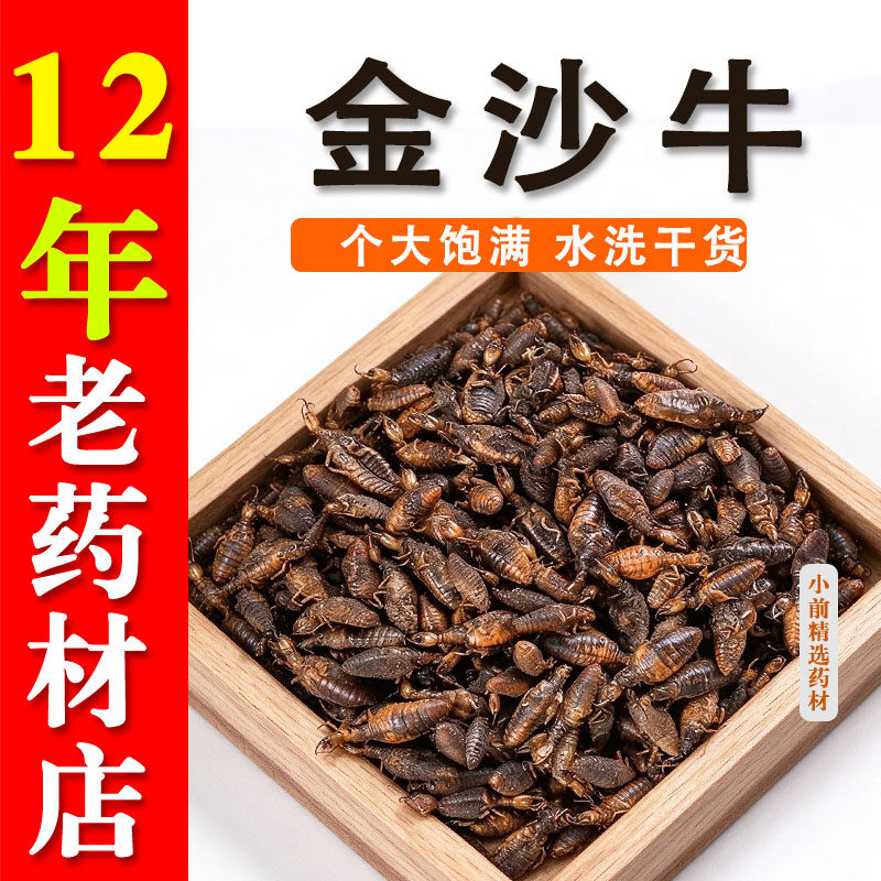 精选金沙牛中药材金砂牛虫蚁狮正品地牯牛倒退虫水洗无杂个大饱满