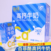 新品 营养早餐奶 百菲酪旗下品牌百小菲高钙牛奶200mlX12盒礼盒装