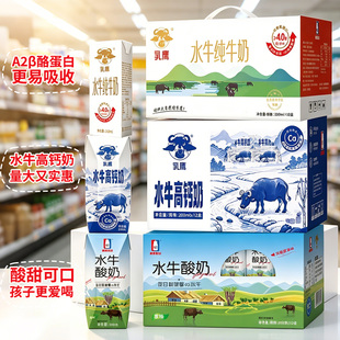 乳鹰水牛纯牛奶200ml*10/12/20盒水牛高钙奶酸奶200mlX10/12/20盒