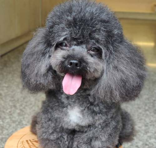 联系客服专用链接！