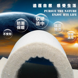 特高密度无味纯羊毛毡炕毡垫子家用学生保暖防潮火炕床毡子床垫