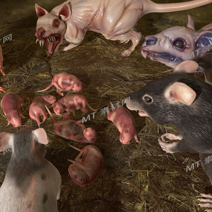UE5虚幻5次世代赛博朋克怪物角色动画模型Rats Complete Pack