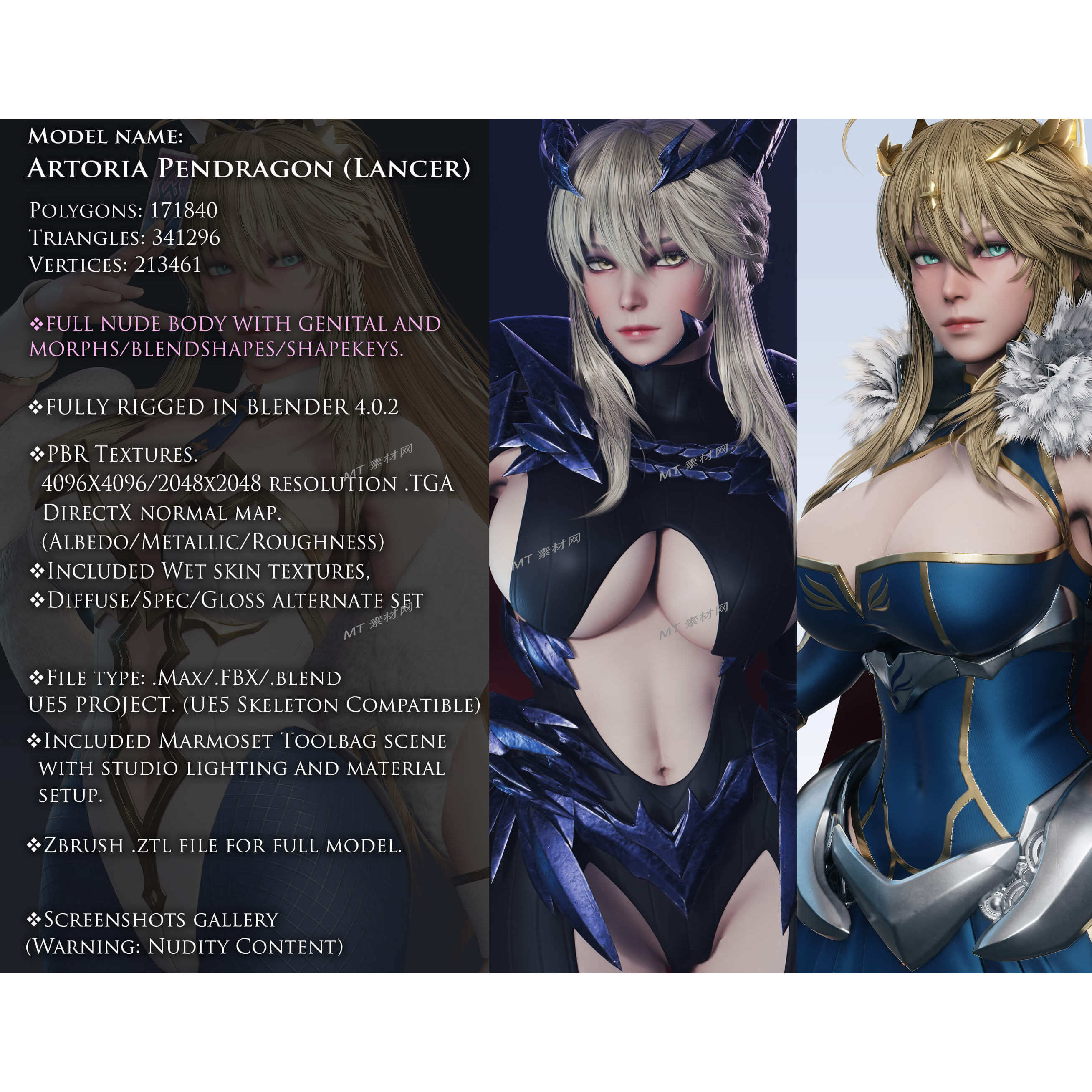 阿尔托莉亚·枪兵游戏人物角色