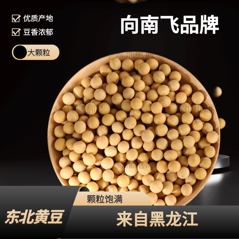 向南飞新东北黑龙江黄豆打豆浆可发生豆芽农家自种海伦大豆图片