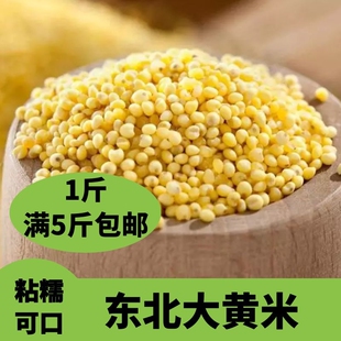 大黄米东北大黄米粘糯大黄米粘的小米包粽子黍米糜子米500g