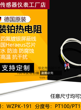 铠装PT100铂热电阻PT1000温度探头探针式温度传感器WZPK-191针型