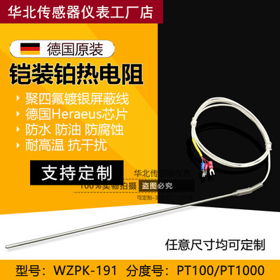 铠装PT100铂热电阻PT1000温度探头探针式温度传感器WZPK-191针型