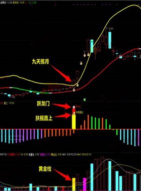 九天揽月系列指标九天主图九天自用成交量等指标套装