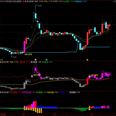 真龙2天40cmTDX真龙现身1主图2副图1选股套装工具