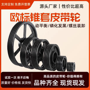欧标锥套皮带轮 SPB300-2-2517 电机减速机马达皮带轮 磷化防锈