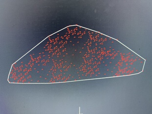 070，高程点快速生成边界线cass插件cad可用支持cad 2014到2824