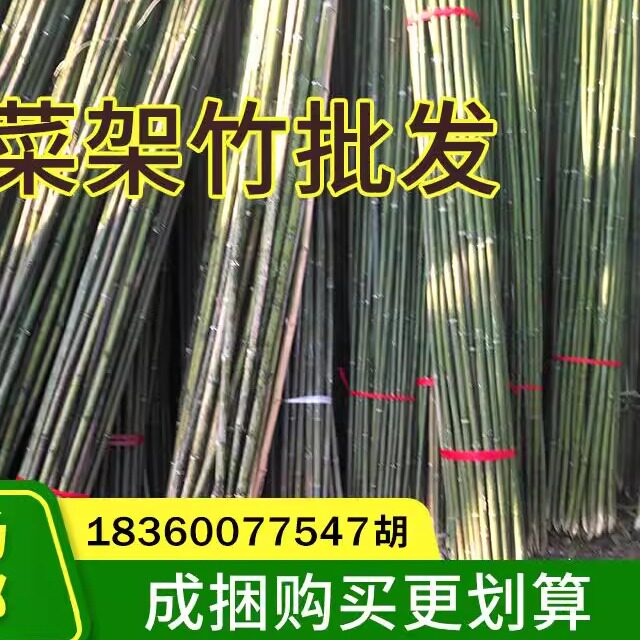 竹竿装饰潢粗楠小竹子刀旗菜园搭架篱笆栅栏彩旗细毛竹杆跳舞包邮
