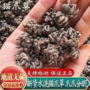 野生猫爪草500g中药材干货特级精选足龄猫爪草茶正品夏枯草结散茶