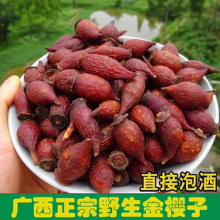 正宗金樱子野生泡酒泡酒果子无硫刺梨子野鲜果生纯天然中药材