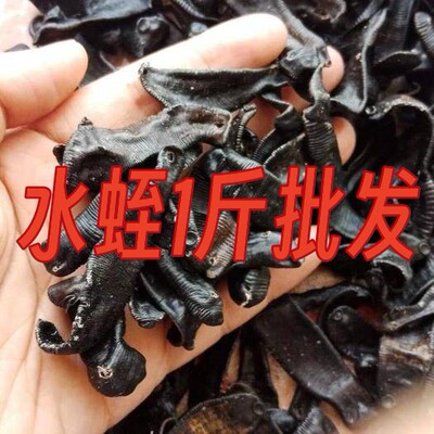 中药材清水水蛭 蚂蝗干 晒干大水蛭 小水蛭中条水蛭1斤