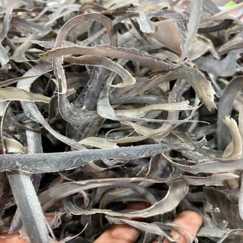 水牛角丝 中药材 水牛角粉 水牛角2件包邮500克  大将军