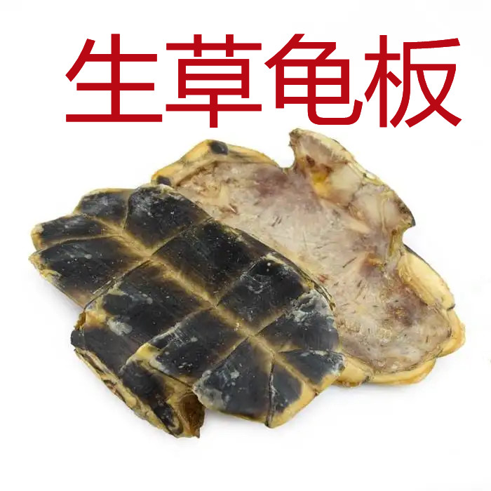 龟板中药用中华草龟外塘龟生晒龟苓膏药引龟甲下半边干货煮汤新货