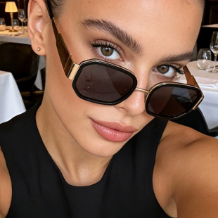 保罗雷朋官网2025新款 小框太 太阳镜金属双圈镜框跨境复古墨镜男士