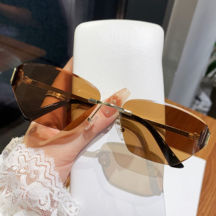 保罗雷朋官网跨境金属款 墨镜男女高级感防紫外线欧美猫眼大牌眼镜