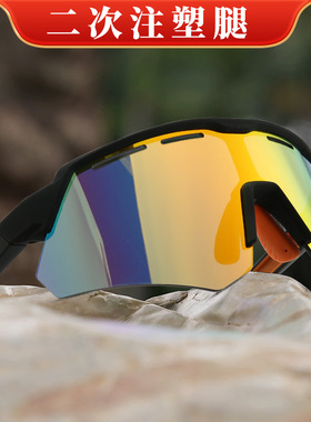 保罗雷朋官网二次注塑户外骑行眼镜防紫外线风沙自行车山地车滑雪