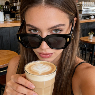 保罗雷朋官网2025款 太阳 方框欧美太阳镜女士墨镜男高级感大框时尚