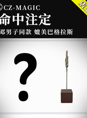 魔术道具抖音邓男子心灵预言牌命中注定巴格拉斯读心信封扑克近景