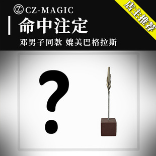 魔术道具抖音邓男子心灵预言牌命中注定巴格拉斯读心信封扑克近景