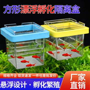 鱼缸孵化盒孔雀鱼繁殖隔离盒小型鱼卵鱼苗斑马鱼斗鱼缸内用产卵7