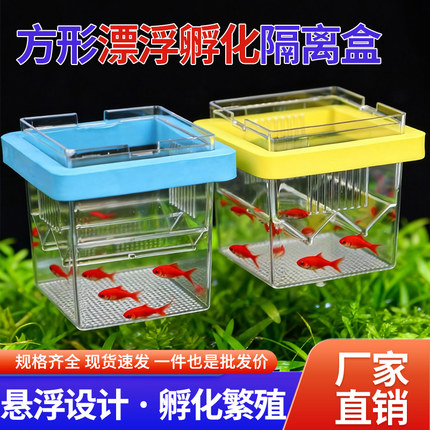 鱼缸孵化盒孔雀鱼繁殖隔离盒小型鱼卵鱼苗斑马鱼斗鱼缸内用产卵7