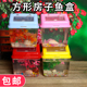 透明塑料小房子号透明小鱼盒金鱼缸乌龟缸宠物盒塑料手提盒运输盒