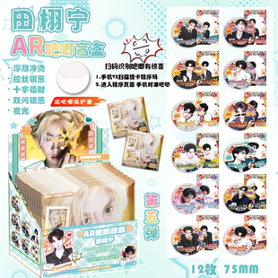 田栩宁AR夜光吧唧盲盒 明星周边同款盲抽马口铁银葱镭射徽章谷子